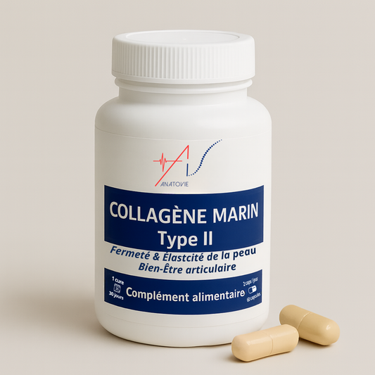 Collagene Marin Type II
