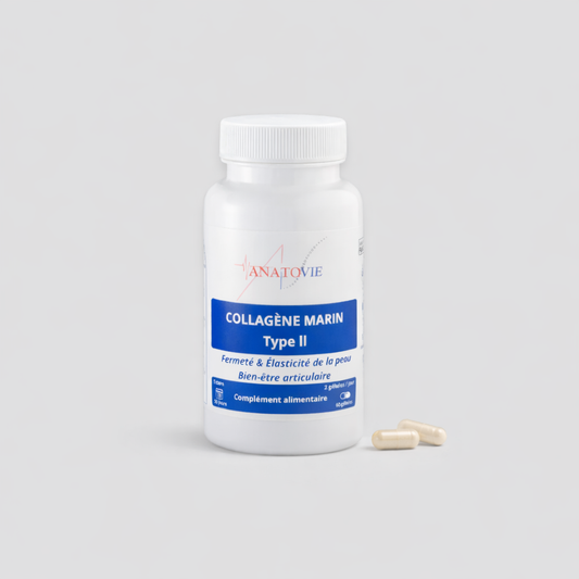 COLLAGENE MARIN TYPE II CARTIDYSS®